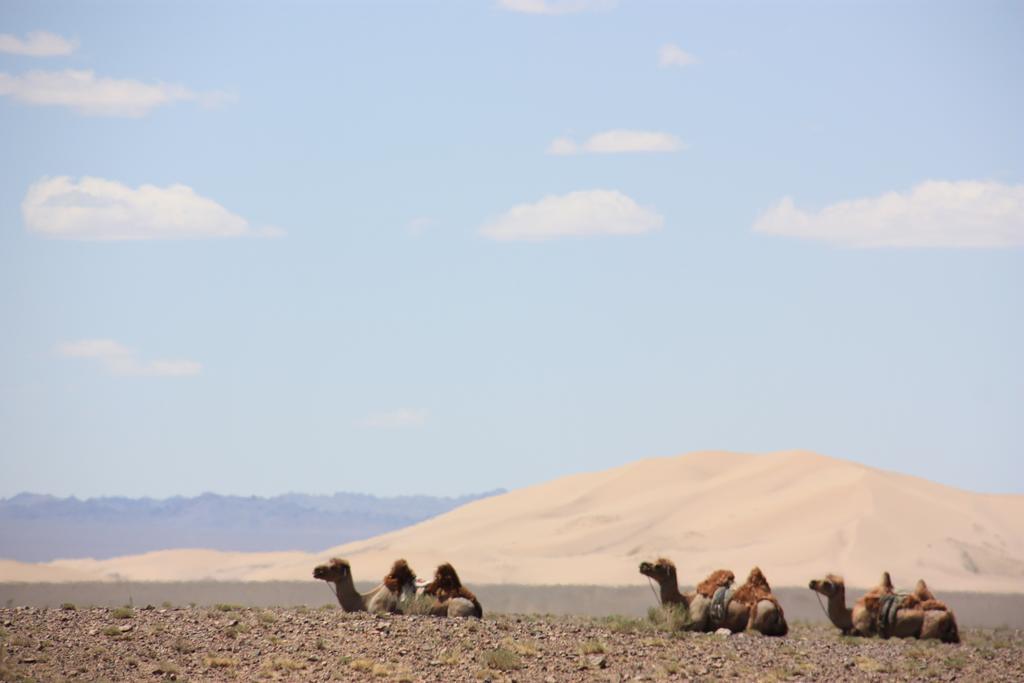 Golden Gobi Hostel & Tours Улан-Батор Экстерьер фото