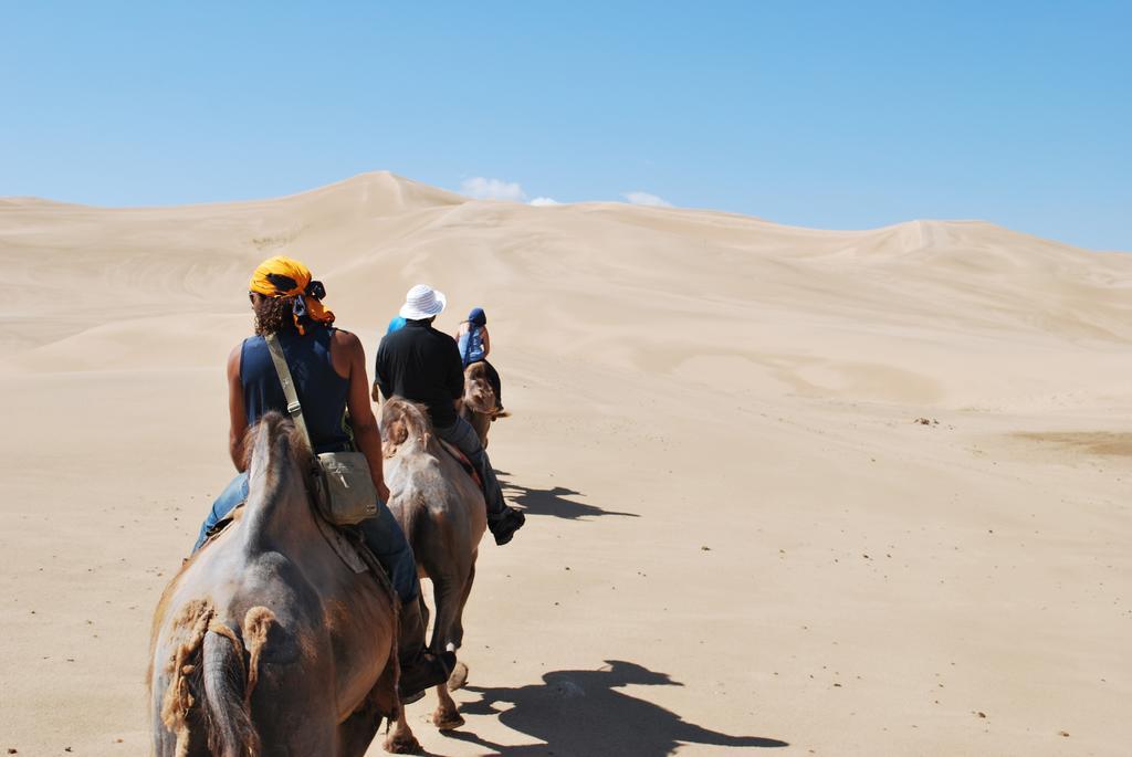 Golden Gobi Hostel & Tours Улан-Батор Экстерьер фото