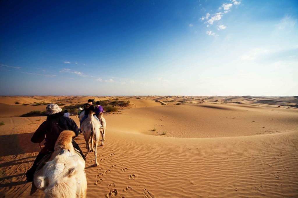 Golden Gobi Hostel & Tours Улан-Батор Экстерьер фото